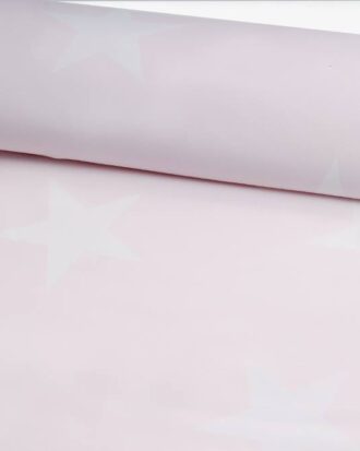 'Imperfect Star' Rose