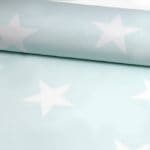 'Imperfect Star' Mint