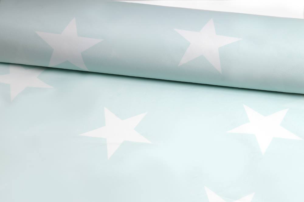 'Imperfect Star' Mint