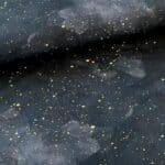 Golden Galaxy bio french terry