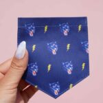 Iron on Pocket "Puma"