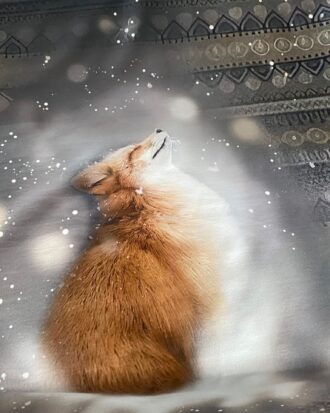 Stoffkids Sommersweat Rapport Fuchs Braun