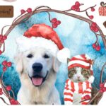 Weihnachtsbügelbild Sonny & Blue