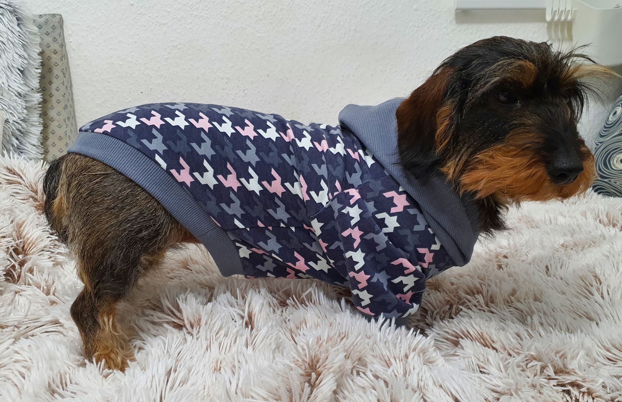 Dog*ee - Hunde Hoodie nach Mass – Bild 3