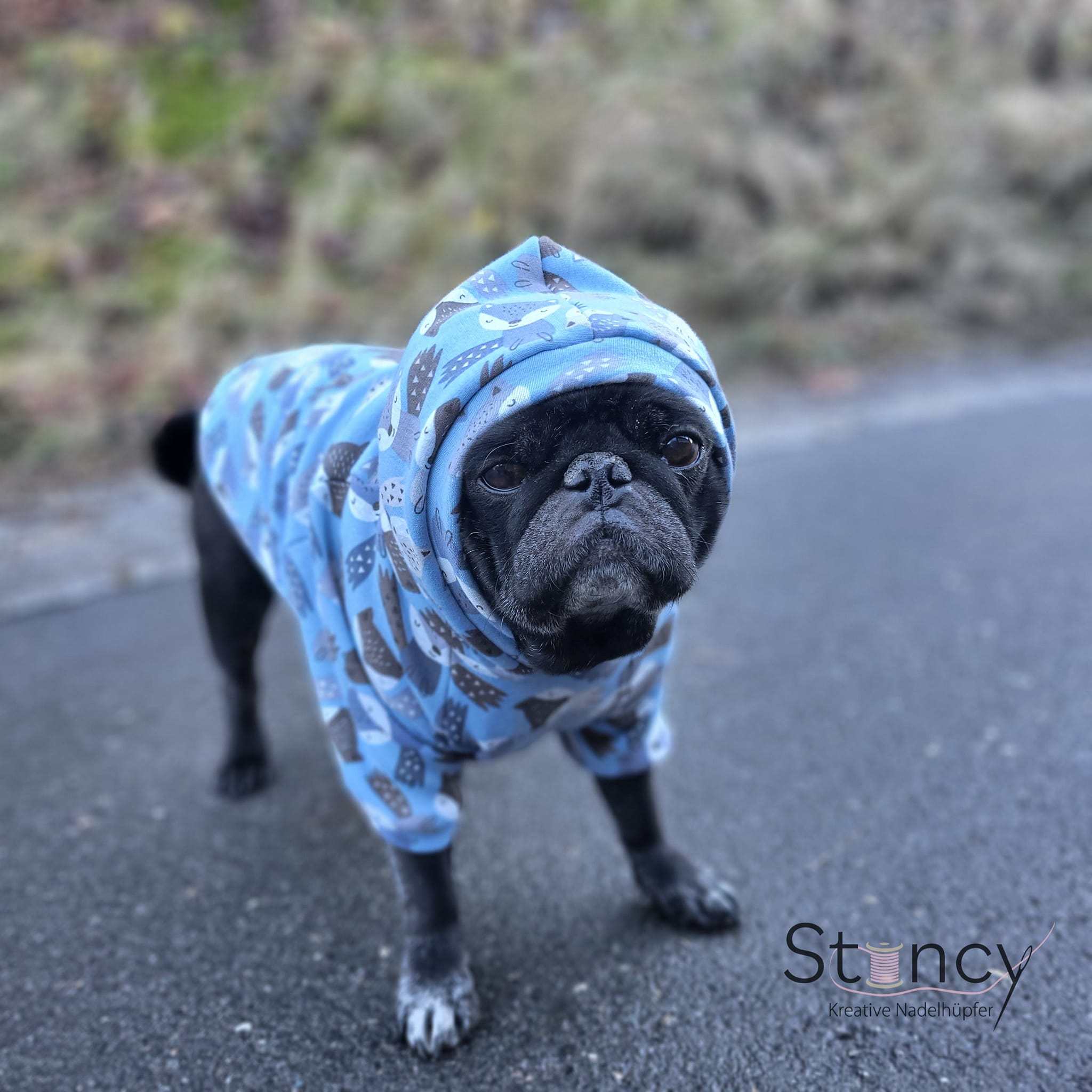 Dog*ee - Hunde Hoodie nach Mass – Bild 5