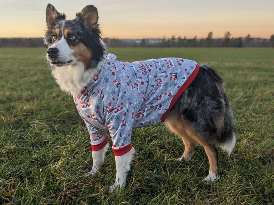 Dog*ee - Hunde Hoodie nach Mass – Bild 6