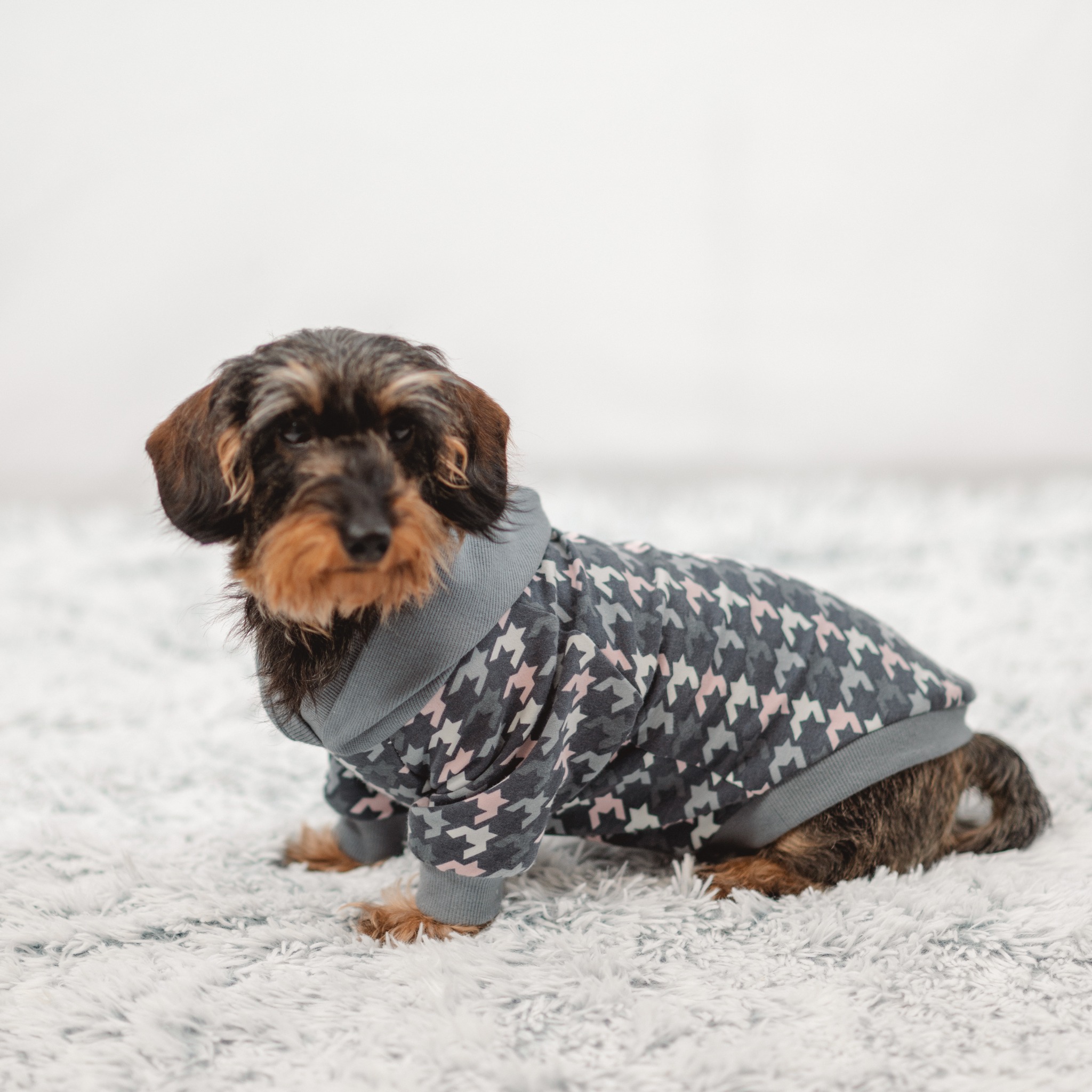 Dog*ee - Hunde Hoodie nach Mass – Bild 8