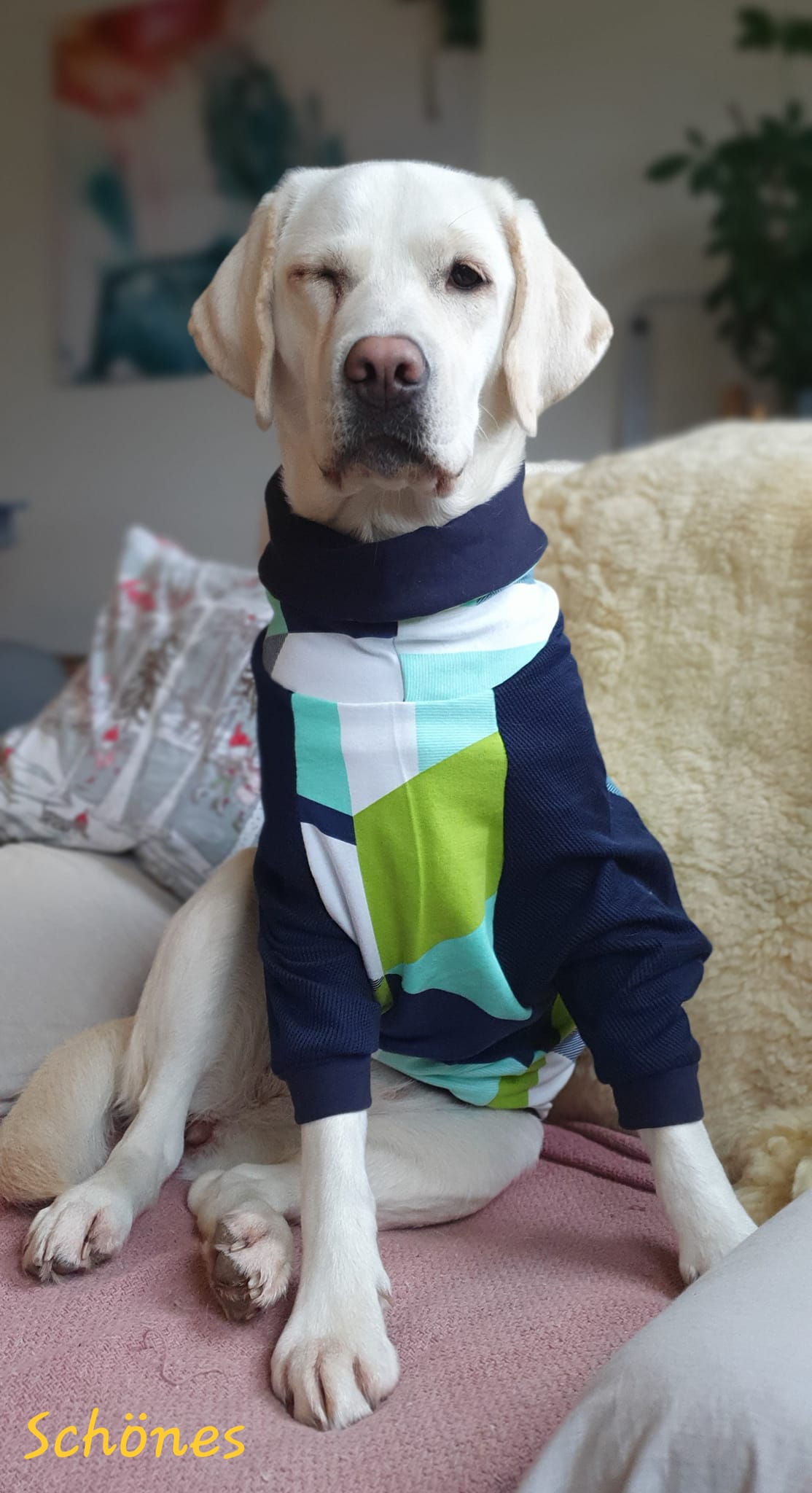 Dog*ee - Hunde Hoodie nach Mass – Bild 15