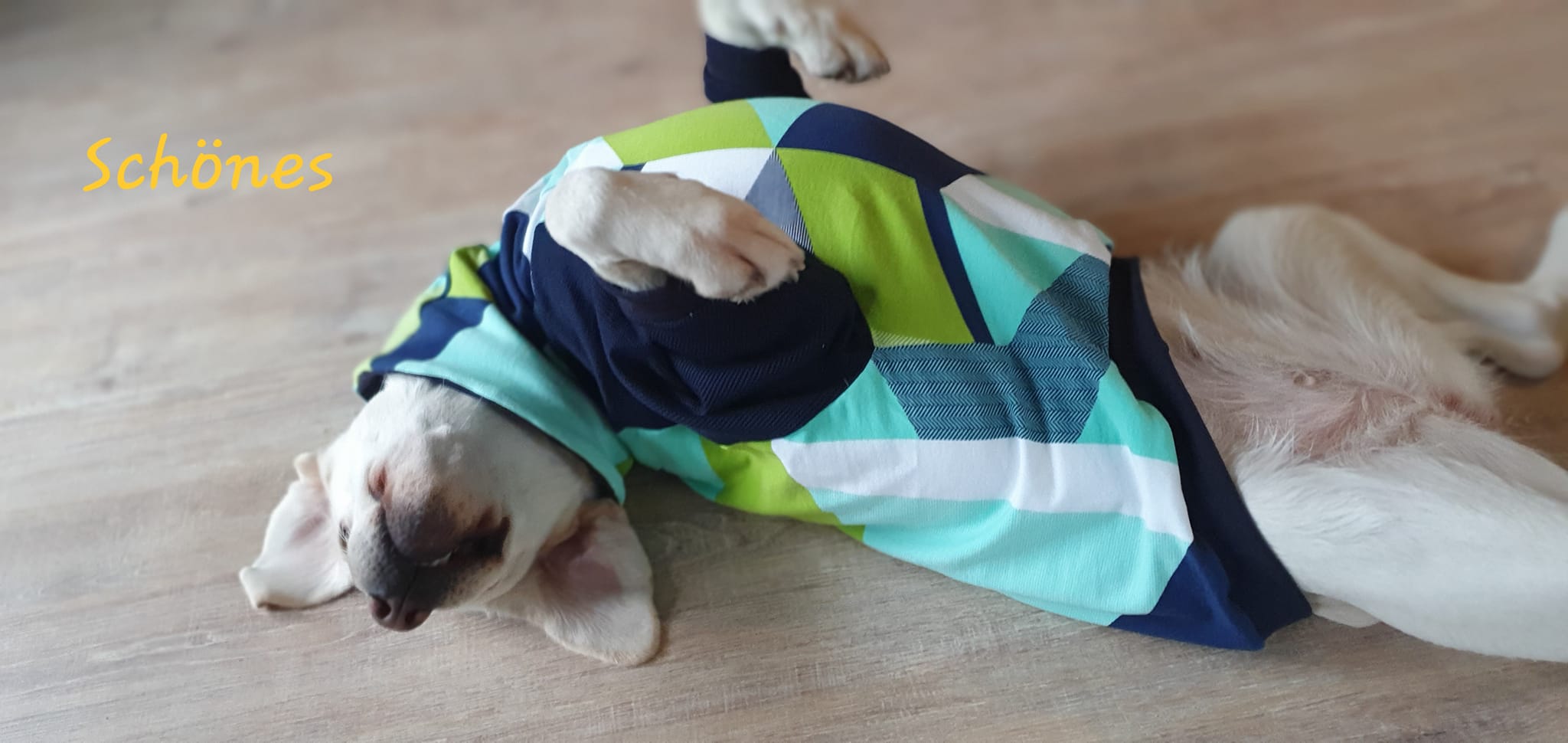 Dog*ee - Hunde Hoodie nach Mass – Bild 14