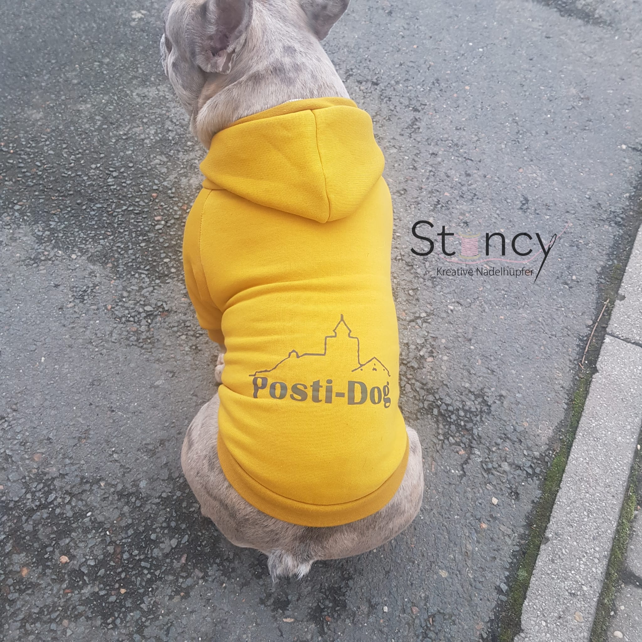 Dog*ee - Hunde Hoodie nach Mass – Bild 16